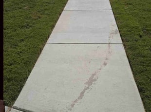 Nancy B.'s turf care service result
