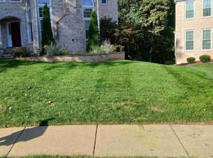 Mario P.'s lawn service service result