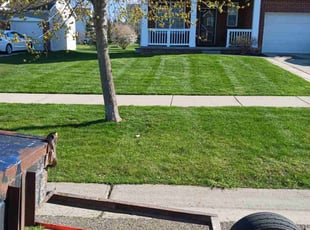 Carolynn N.'s grass maintenance service result