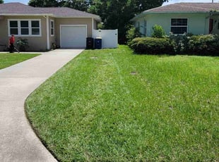 Daniel D.'s lawn service service result