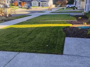 David V.'s lawn care services service result