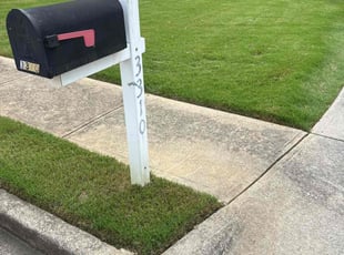 Michael H.'s grass maintenance service result