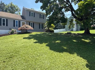 Achirangshu D.'s grass cutting service result