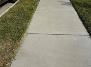 Michele M.'s grass cutting service result