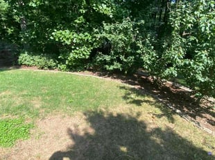 Paula B.'s Flower Bed Weeding service result