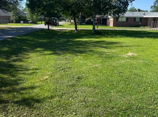 Jennifer M.'s turf care service result