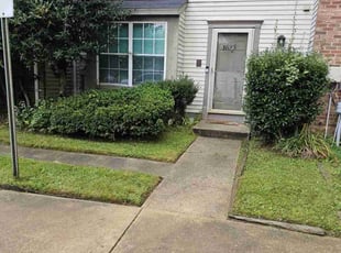 Lawan H.'s lawn care services service result