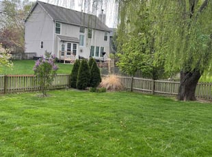 Andy P.'s grass maintenance service result