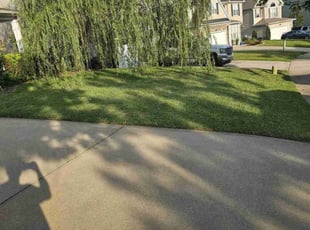 Marie H.'s lawn maintenance service result