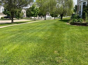 Crystal S.'s lawn care service result