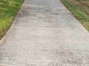 Linda L.'s turf maintenance service result