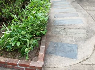 Craig T.'s Bush Trimming service result