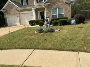 Andrew N.'s lawn maintenance service result