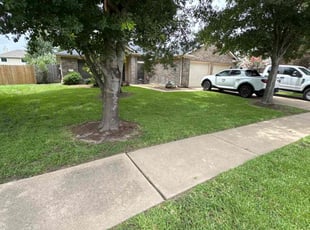 Jennifer K.'s lawn care services service result