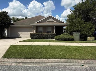 Jim M.'s grass maintenance service result