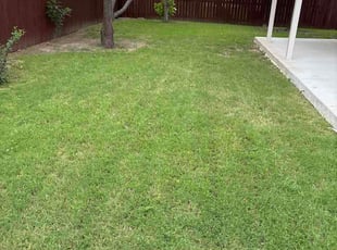 Jeff B.'s grass cutting service result