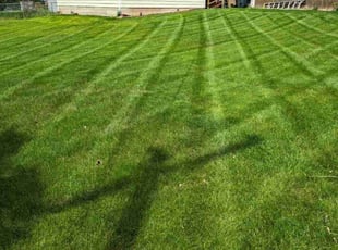 Michelle R.'s lawn care services service result