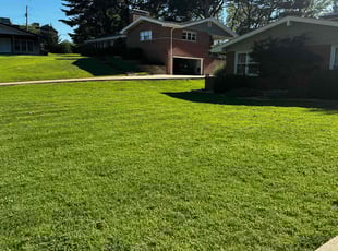 Fred H.'s lawn maintenance service result
