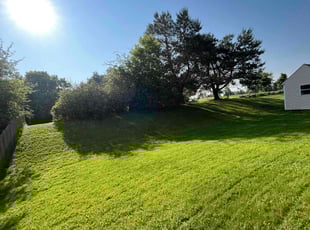 Robert B.'s grass maintenance service result