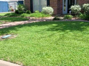 David S.'s turf maintenance service result