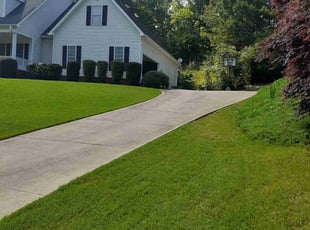 Loida C.'s yard service service result