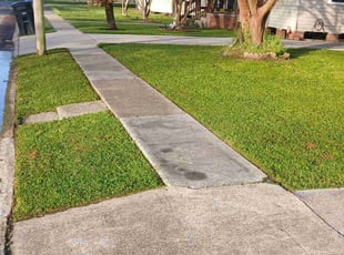 Alesia B.'s lawn service service result