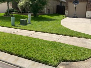 Virginia R.'s lawn care services service result