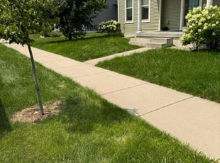 Dave A.'s lawn care services service result