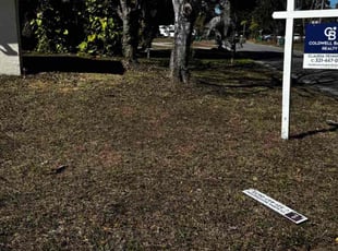 Jill D.'s grass maintenance service result