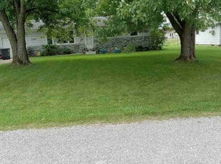 Natalie S.'s grass maintenance service result