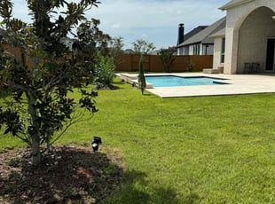 Jimmy D.'s grass cutting service result