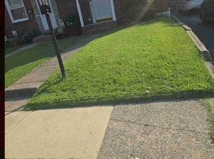 Terri -.'s grass maintenance service result