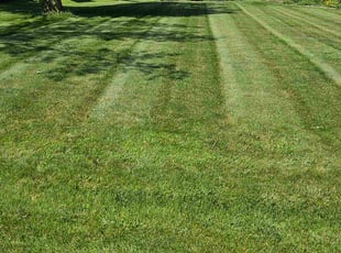 Eric S.'s lawn service service result