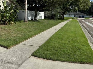 Heather Z.'s lawn care services service result