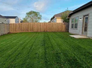 Norell P.'s grass cutting service result