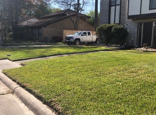 Iona D.'s lawn care service result