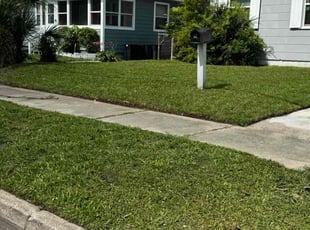 Adah R.'s grass maintenance service result