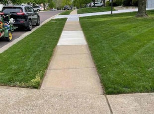 Scott M.'s lawn care services service result