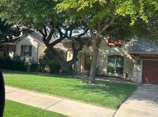 Mia H.'s grass cutting service result