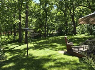 Mike G.'s grass maintenance service result