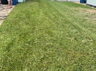 Tony R.'s lawn care services service result
