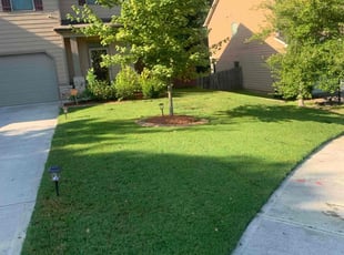 Jeanie Z.'s lawn maintenance service result