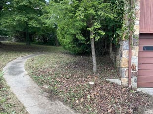 Lanita C.'s Bush Trimming service result