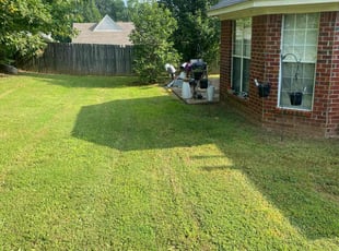 Tin M.'s lawn maintenance service result