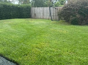 Gilmar D.'s turf care service result