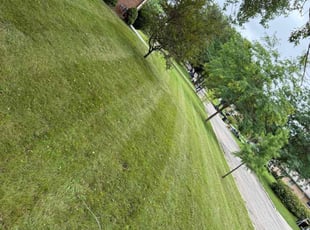 Matt V.'s lawn care services service result