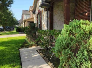 Tim H.'s Bush Trimming service result