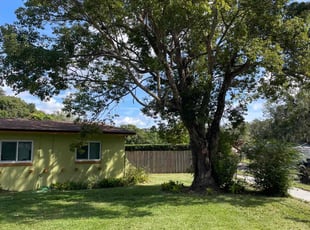 Jim J.'s lawn service service result