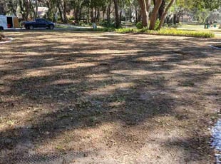 Tomeka H.'s lawn service service result