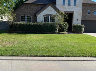 Ramon C.'s landscaping service result